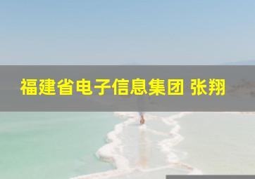 福建省电子信息集团 张翔